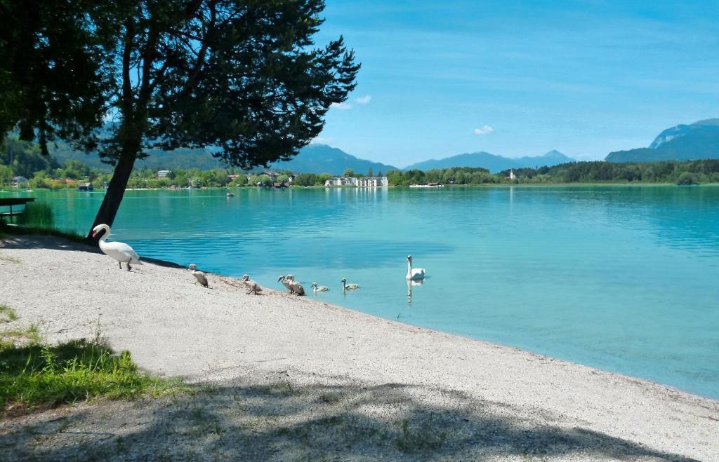 Pension Stissen Haus Am See Faak am See Luaran gambar